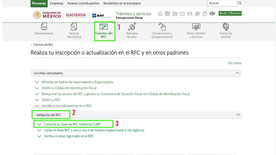 Sat ¿cómo Consultar Mi Rfc Con Mi Curp Si Lo Olvidé Este 2023 7269
