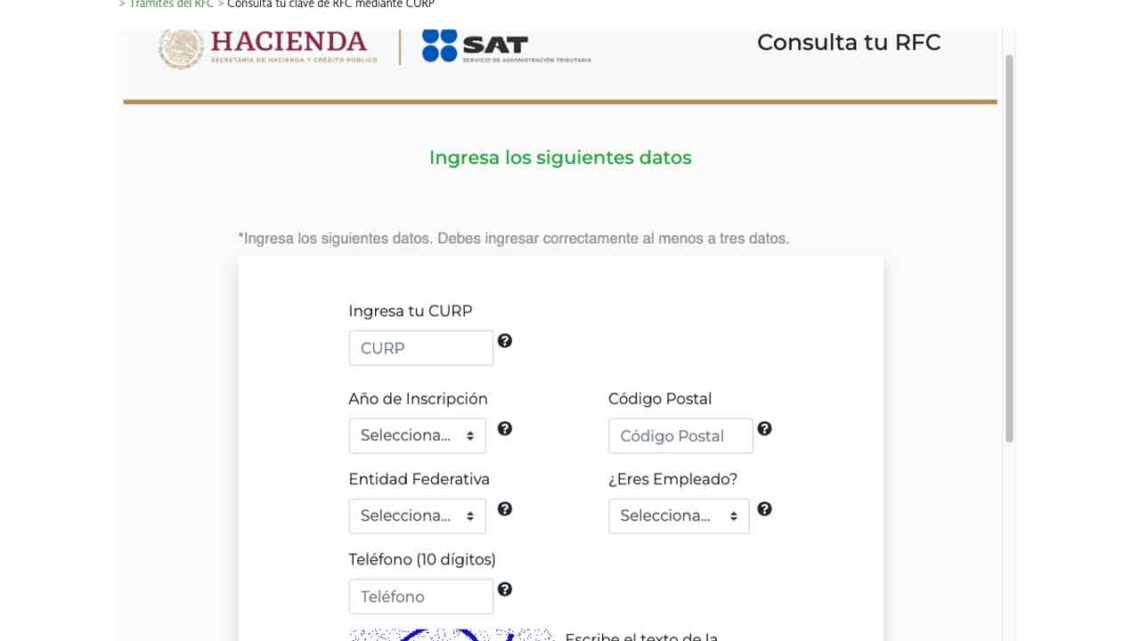 Sat ¿cómo Consultar Mi Rfc Con Mi Curp Si Lo Olvidé Este 2023 9441